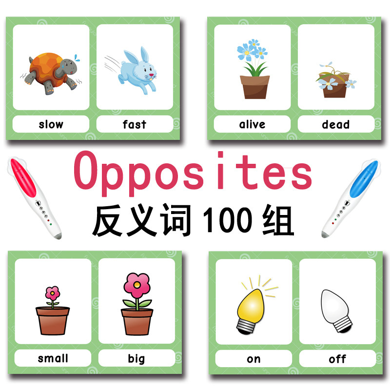 Die 100 Gruppen Gegensätze Ler – Kids Education Learning Bewertung und Preis