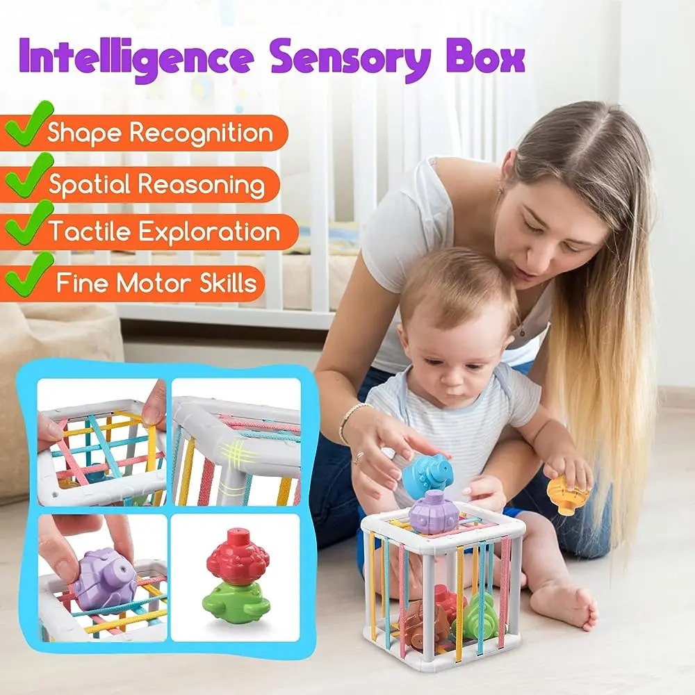 Regenbogenfarbiger Montessori- – Kids Education Learning Bewertung und Preis