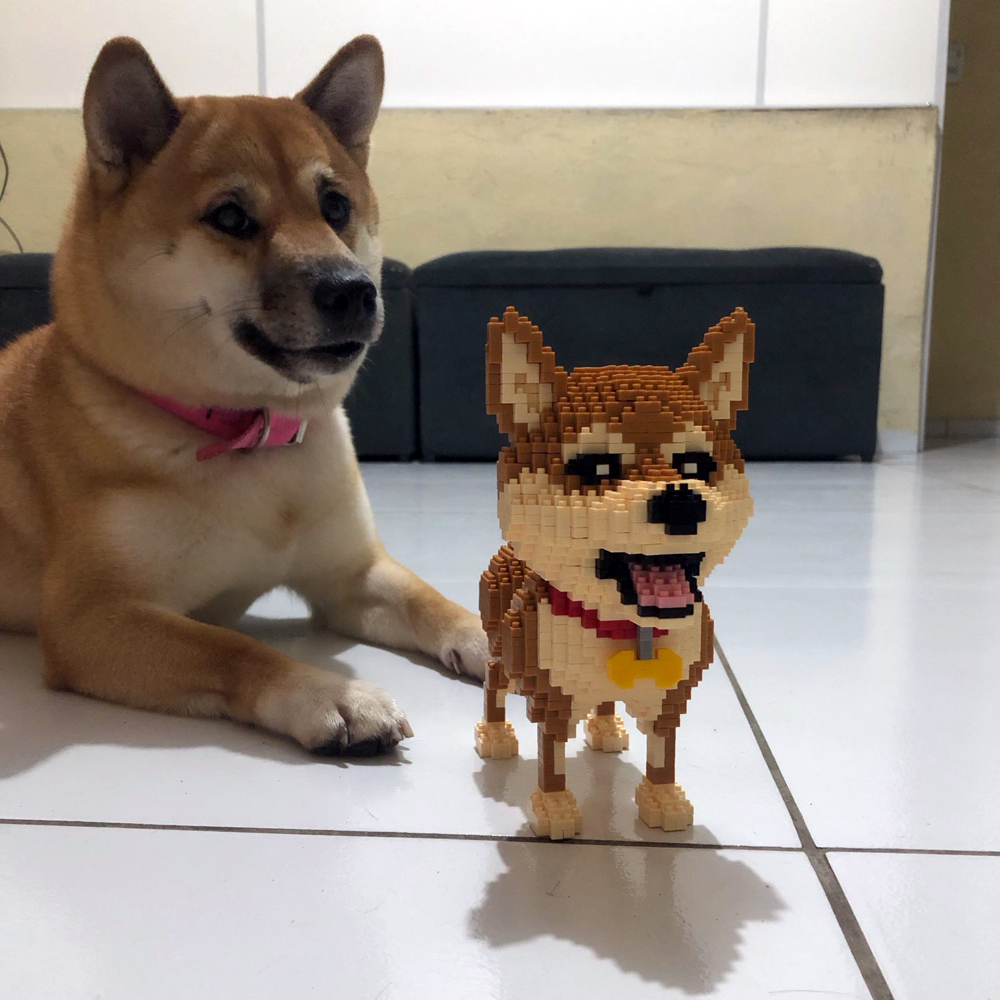 KNEW BUILT Shiba Inu Dogs Mode – Kids Education Recreation Bewertung und Preis