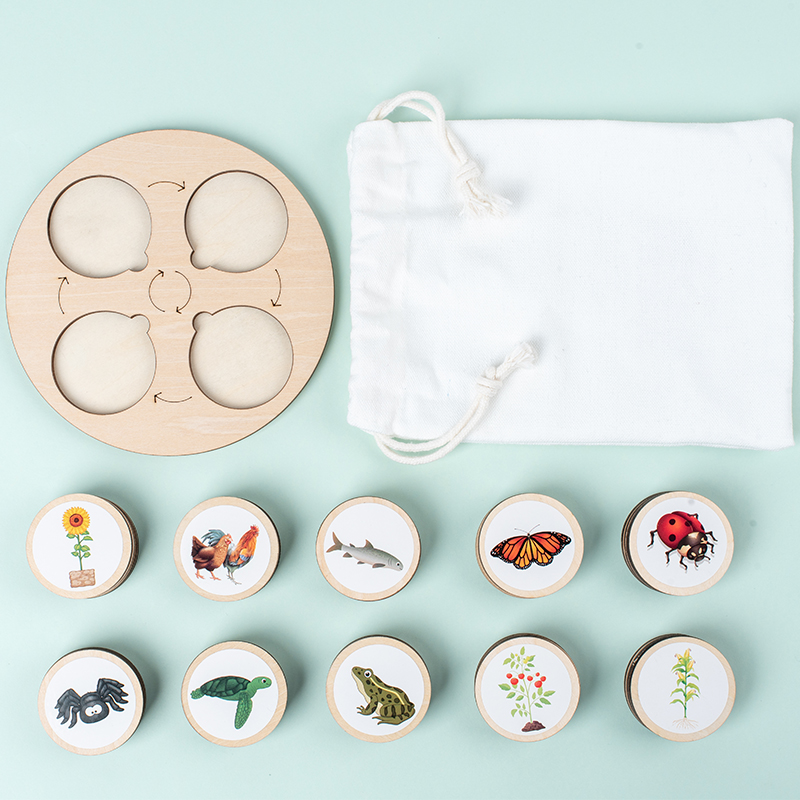 Lebenszyklusbrett, Montessori- – Montessori Shelf Toy Bewertung und Preis